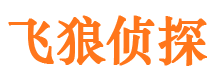 勉县飞狼私家侦探公司